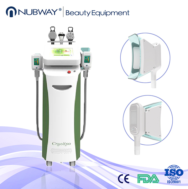 2014 마지막 크리스마스 승진!!!!!!!빨리 체중을 줄이기!!!!!!! 기계 .jpg를 감소시키는 고품질 뚱뚱한 어는 cryolipolysis 무게