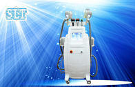 기계/Lipo 레이저 체중 감소 기계를 체중을 줄이는 공동현상 고주파 Cryolipolysis