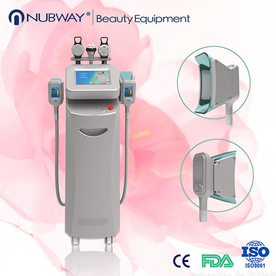 아름다움 장비를 체중을 줄이는 Cryolipolysis 기계 2014/Cryolipolysis 몸